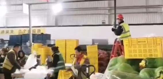 2023-07-184-包頭PC加工倉照明線路新增項目