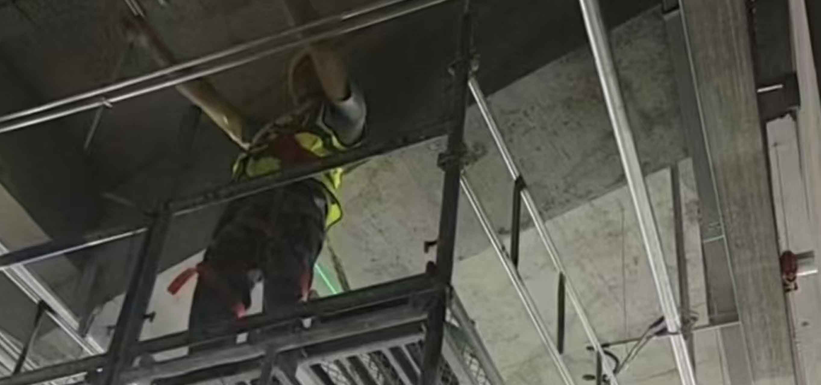 2025-10-007理想汽車-鄭州鄭東萬象城項目 2025.6.9開工